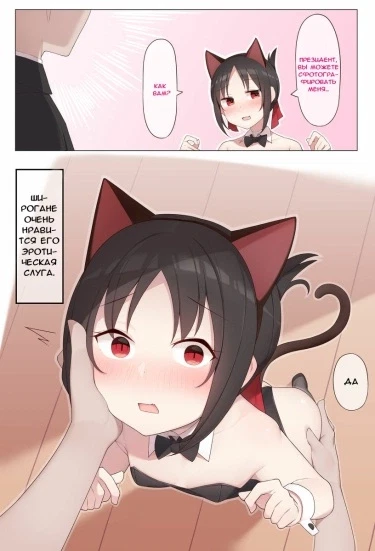 Nekomimi no Kaguya-sama