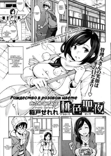 Рождество в розовом цвете