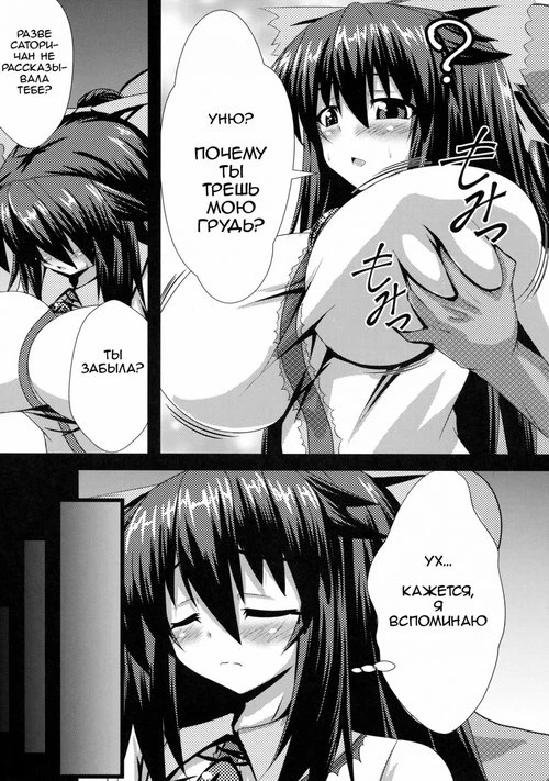 Touhou Project. Okuu-chan to H  Okuu-chan's H