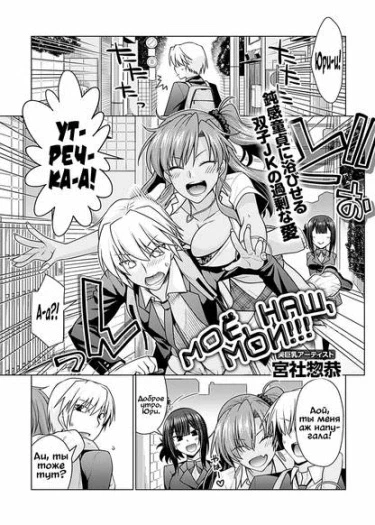 Моё, наш, мои