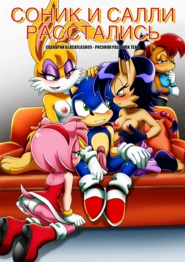Соник и Салли расстались