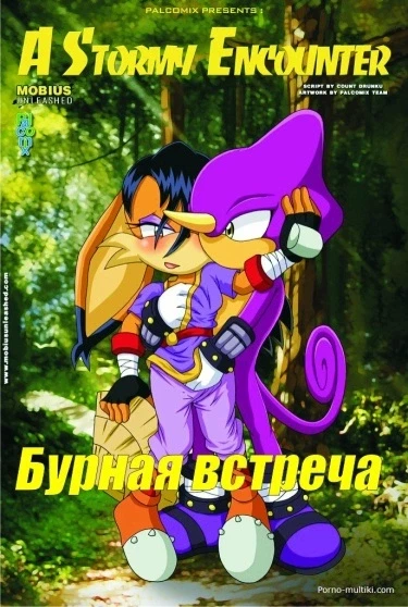 Бурная встреча