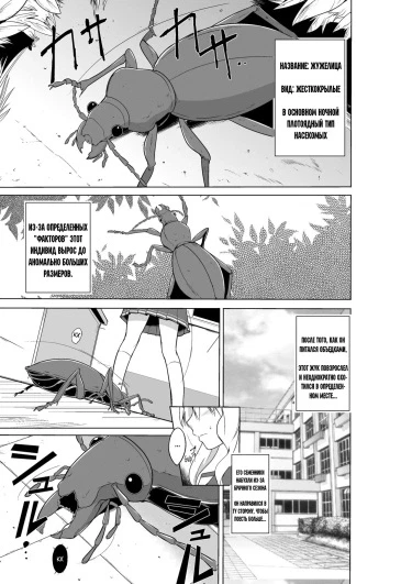 Sasara no Mushiasobi