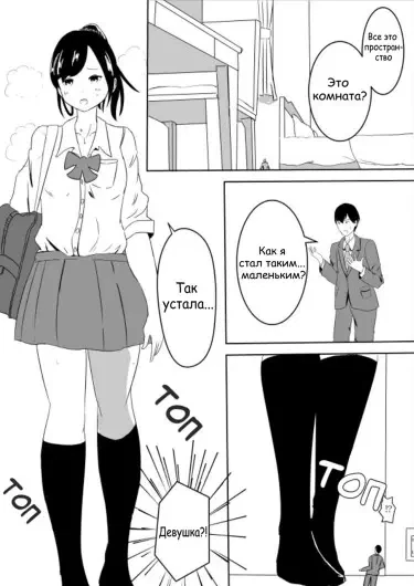 Футомомо Хай