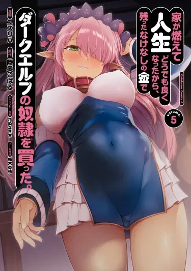 У меня сгорел дом, и, чтобы подсластить жизнь, на оставшиеся деньги я купил рабыню-темного эльфа-1