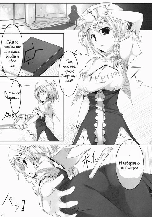Touhou Project. Chrodinger
